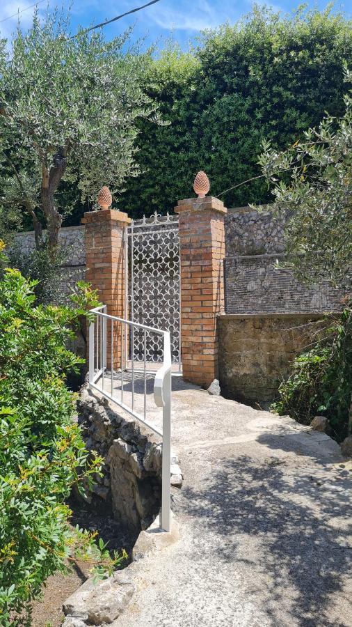 Villa Matisse - Damecuta Park Anacapri  Eksteriør bilde